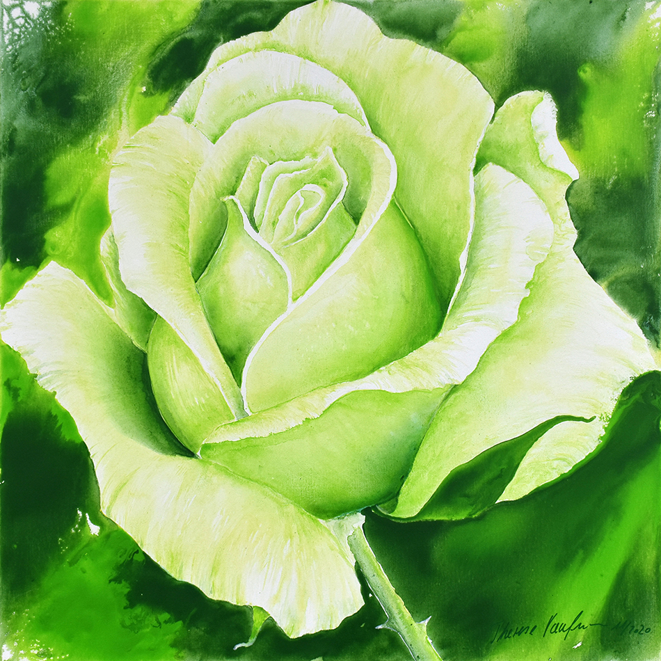 Grüne Rose